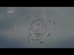 SS 304 Johnson Wasserfilter Düse 57 mm Durchmesser für Wasserverteiler